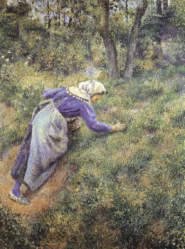 Camille Pissarro Collect grass China oil painting art